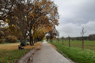 Hammelsgraben-Trail | © Land der 1000 Hügel - Kraichgau-Stromberg