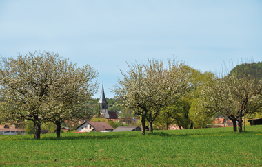 Historischer Rundgang Horrheim | © Land der 1000 Hügel - Kraichgau-Stromberg