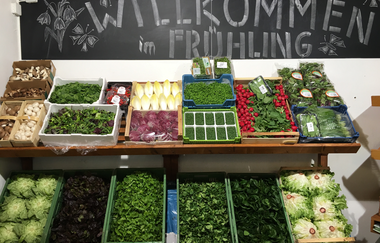 Hockenheim: Hockenheimer RadRing | © Johanneshof