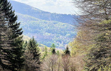 Höhepunkte im Odenwald | © Quelle: Landratsamt Rhein-Neckar-Kreis