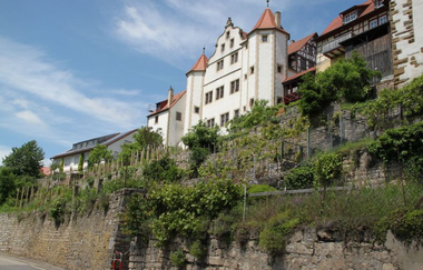 Hugenotten- und Waldenserpfad - Teilstrecke Mühlacker-Kraichtal (31,6 km)