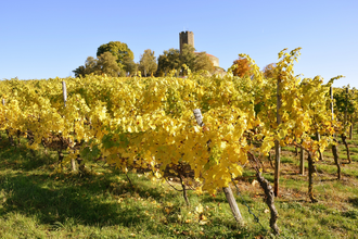 HW 46  Reinsheim - Langenbrücken - Schwaigern | © Stadt Sinsheim