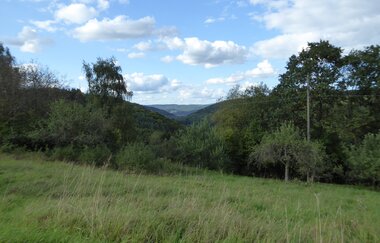 Jakobswanderweg 1. Etappe | © Liebliches Taubertal