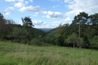 Jakobswanderweg 2. Etappe | © Liebliches Taubertal