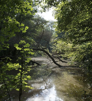 Jubiläums-Tour Kraichtal | © Land der 1000 Hügel - Kraichgau-Stromberg