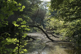 Jubiläums-Tour Kraichtal | © Land der 1000 Hügel - Kraichgau-Stromberg