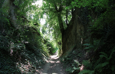 Jubiläums-Tour Kraichtal | © Land der 1000 Hügel - Kraichgau-Stromberg