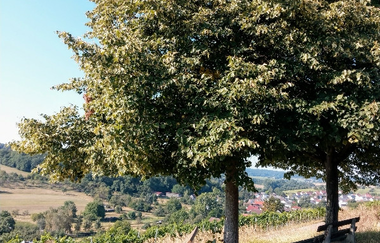 Jubiläums-Tour Kraichtal | © Stadtverwaltung Kraichtal