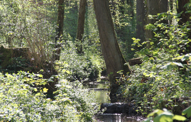 K1 - Kraichtal-Oberöwisheim Familienwanderweg | © Stadtmarketing Kraichtal