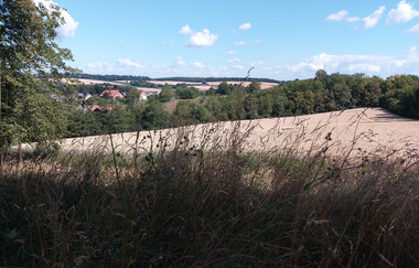 K9 - Kraichtal Zu Fuß! | © Stadt Kraichtal