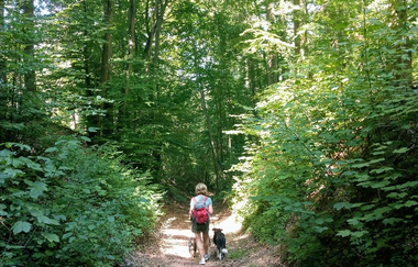 K9 - Kraichtal Zu Fuß! | © Stadt Kraichtal