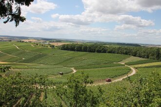 KB2 - Eppinger Linien Rundweg | © Land der 1000 Hügel - Kraichgau-Stromberg