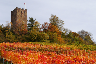 Kleine Schloßbergrunde | © Gemeinde Sternenfels