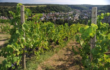 KN1 – Wander3Klang – Knittlingen – Freudenstein und Hohenklingen (große Runde) | © Land der 1000 Hügel - Kraichgau-Stromberg