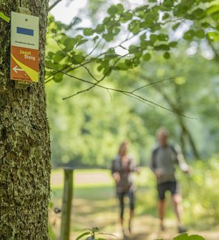 Kocher-Jagst-Trail: Wandern am Jagststeig | © Hohenlohe + Schwäbisch Hall Tourismus e. V.