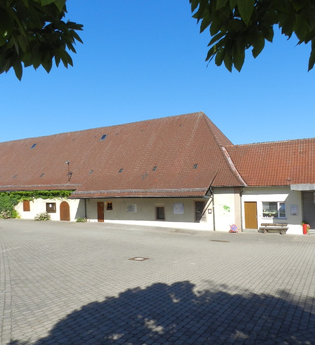 Königs-Rundwanderweg | © Stadt Sachsenheim