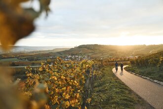 KR1 Heuchelberg-Runde | © Tourimia Tourismus GmbH | Stefan Leitner Photography
