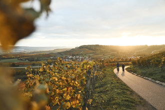 KR1 Heuchelberg-Runde | © Tourimia Tourismus GmbH | Stefan Leitner Photography