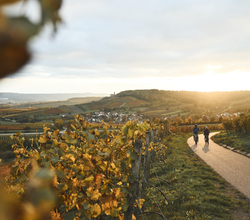 Zweifelberg Radfahren im Sonnenuntergang | © Tourimia Tourismus GmbH | Stefan Leitner Photography