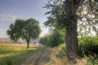 Eppingen Streuobstlehrpfad Richen web | HeilbronnerLand