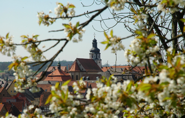 Kraichgau-Stromberg: 3-Bäche-Tour | © Stadtmarketing Kraichtal
