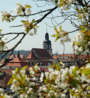 Kraichgau-Stromberg: Ähren-Tour | © Stadtmarketing Kraichtal