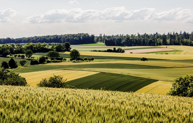Kraichgau-Stromberg: Kultur-Tour | © Stadt Bretten