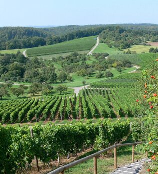 Kraichgau-Stromberg: Naturpark-Tour | © Land der 1000 Hügel - Kraichgau-Stromberg