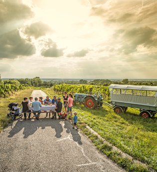 Kraichgau-Stromberg: Riesling-Tour | © Land der 1000 Hügel - Kraichgau-Stromberg