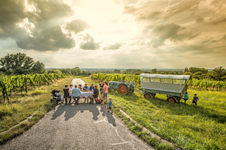 Kraichgau-Stromberg: Riesling-Tour | © Land der 1000 Hügel - Kraichgau-Stromberg