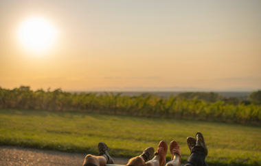 Kraichgau-Stromberg: Riesling-Tour | © Land der 1000 Hügel - Kraichgau-Stromberg