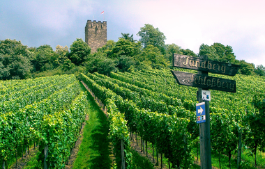 Kraichgau-Stromberg: Seen-Tour | © Land der 1000 Hügel - Kraichgau-Stromberg