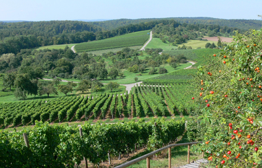 Kraichgau-Stromberg: Vesper-Tour | © Land der 1000 Hügel - Kraichgau-Stromberg
