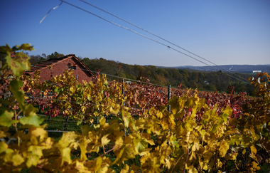 Kraichgau-Stromberg: Waldenser-Tour | © Land der 1000 Hügel - Kraichgau-Stromberg