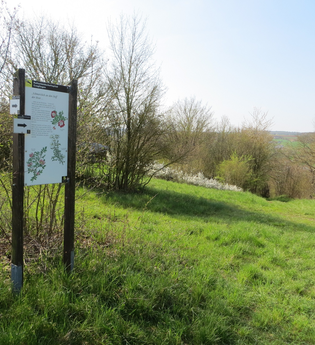 Kulturlandschaftspfad Creglingen | © Liebliches Taubertal