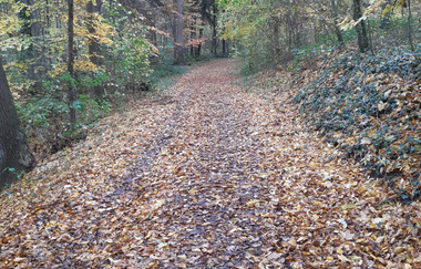 Lehr- und Trimm-Dich-Pfad | © Land der 1000 Hügel - Kraichgau-Stromberg