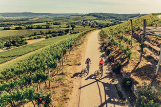 Radfahren am Zweifelberg | © Touristikgemeinschaft HeilbronnerLand e.v.