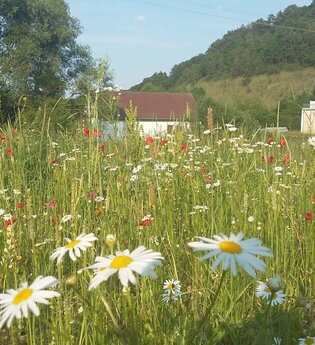 Liebliches Taubertal - Der Sportive 3. Etappe | © Liebliches Taubertal