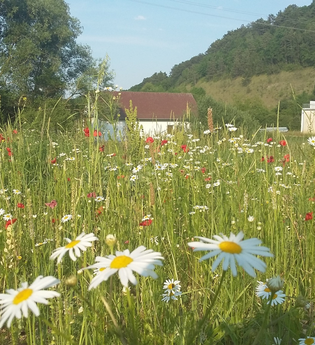Liebliches Taubertal - Der Sportive 3. Etappe | © Liebliches Taubertal