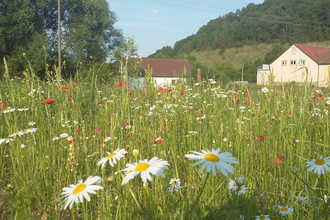 Liebliches Taubertal - Der Sportive 3. Etappe | © Liebliches Taubertal