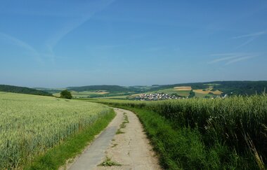 LT 16 Durchs Ursbachtal | © Stadt Bad Mergentheim
