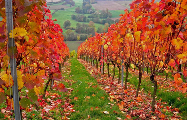 LT 18 Rund um den Tauberberg | © Unbekannt