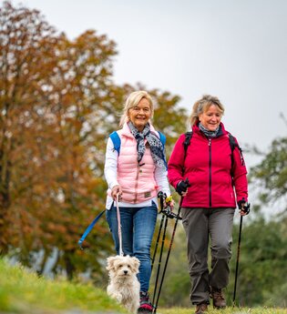 LT 2 Romantisches Wildbachtal | © Liebliches Taubertal