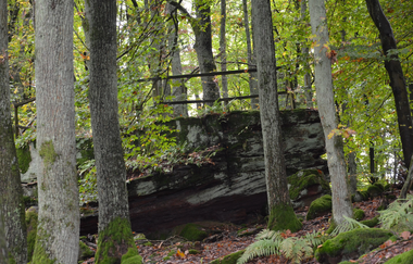 LT 2 Romantisches Wildbachtal | © Liebliches Taubertal