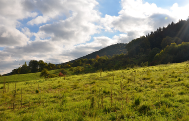 LT 2 Romantisches Wildbachtal | © Liebliches Taubertal