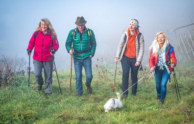 LT 2 Romantisches Wildbachtal | © Liebliches Taubertal