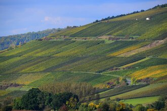 LT 22 - Edelobst und Wein | © Liebliches Taubertal