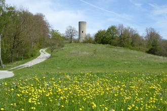 LT 26 Zur St. Kunigunde | © Liebliches Taubertal