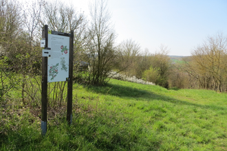 LT 27 Hasennestle und keltisches Oppidum | © Liebliches Taubertal