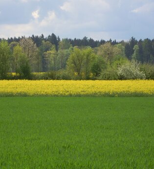 LT 5 Ins Erfatal | © Liebliches Taubertal